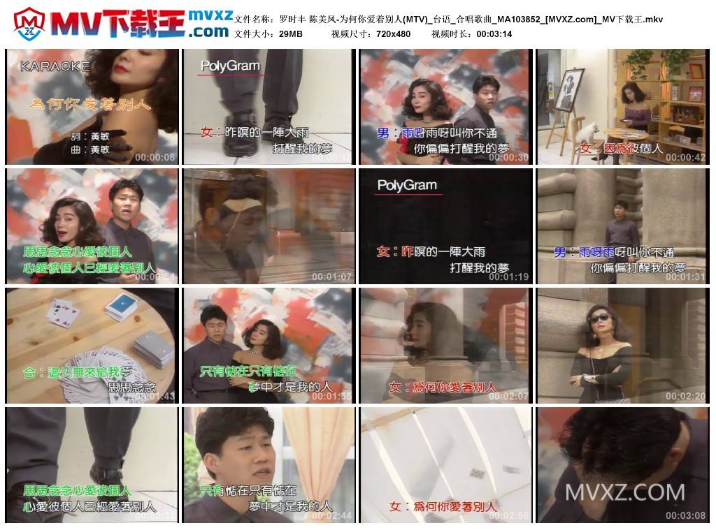 罗时丰 陈美凤-为何你爱着别人(MTV)_台语_合唱歌曲_MA103852